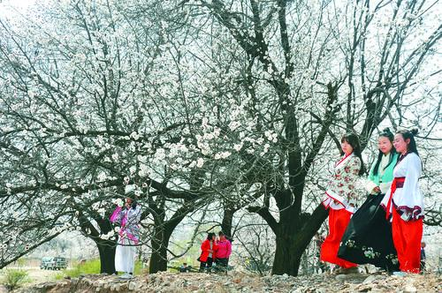 九线拉王棋牌娱乐主视觉